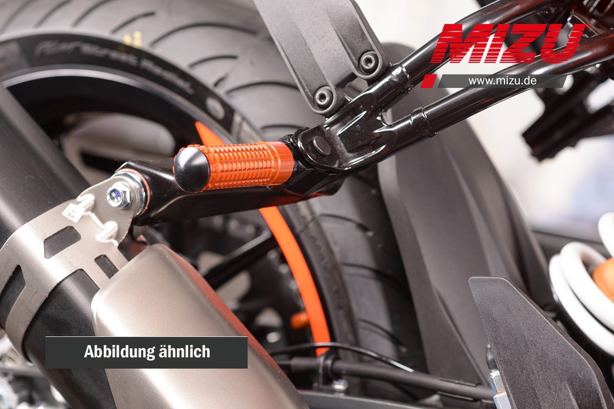 Race Soziusfußraste BMW G 310 GS ab 17